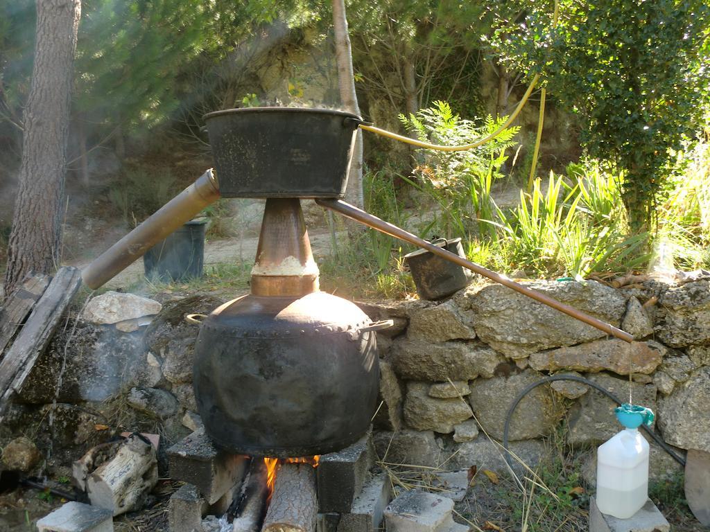 Quinta Do Circo - Serra Da Estrela - Turismo Rural Cortes do Meio エクステリア 写真